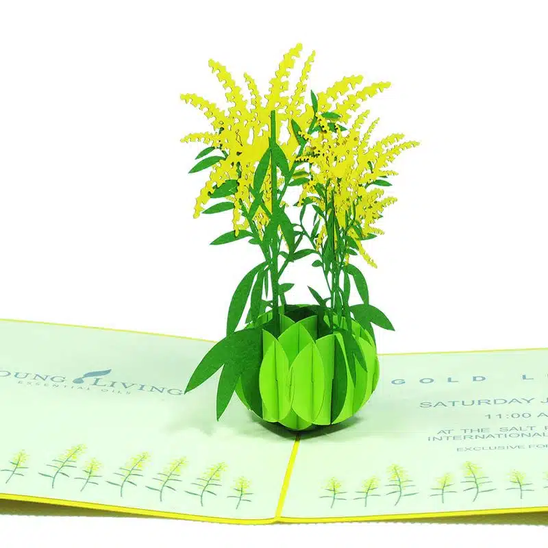 3D Pop Up Cards Manufacturer – Pop Up Cards Wholesale Supplier Vietnam