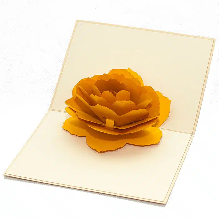 Rose Flower Pop Up Card Template Pop Up Rose Valentine's Day Card : 4