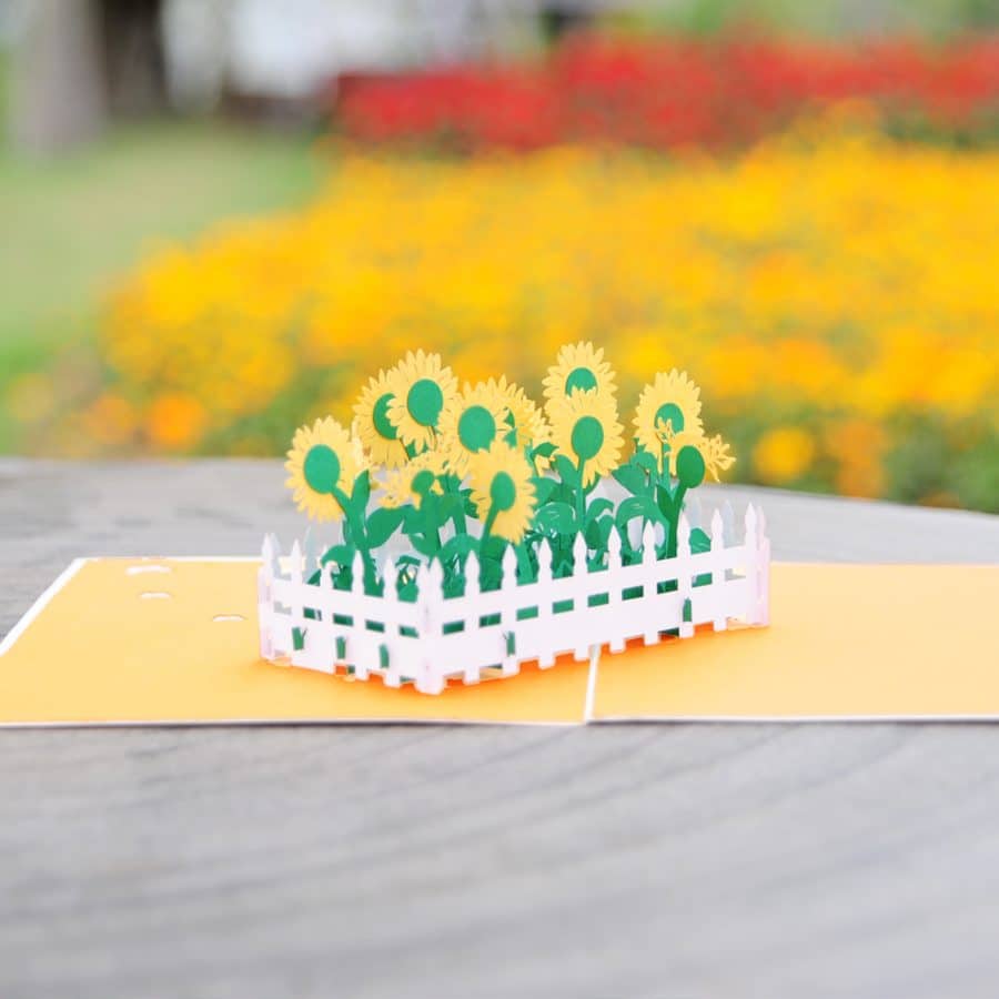 3D Pop Up Cards Manufacturer – Pop Up Cards Wholesale Supplier Vietnam