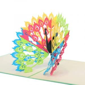 Peacock 3D Card- animal birthday card-pop up card company-Charm Pop