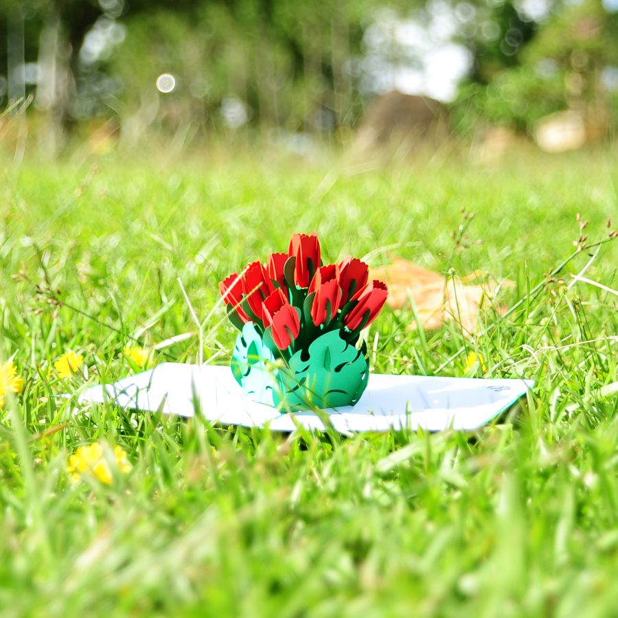 3D Pop Up Cards Manufacturer – Pop Up Cards Wholesale Supplier Vietnam