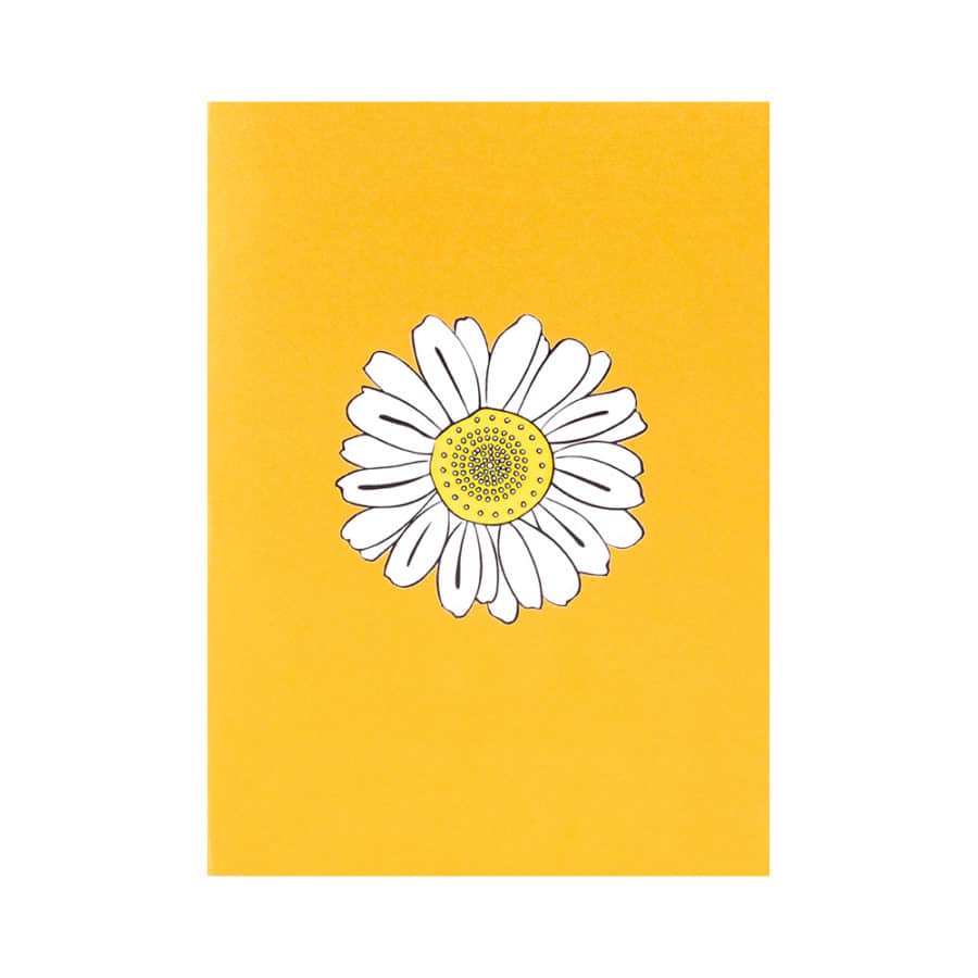 3D Pop Up Cards Manufacturer – Pop Up Cards Wholesale Supplier Vietnam