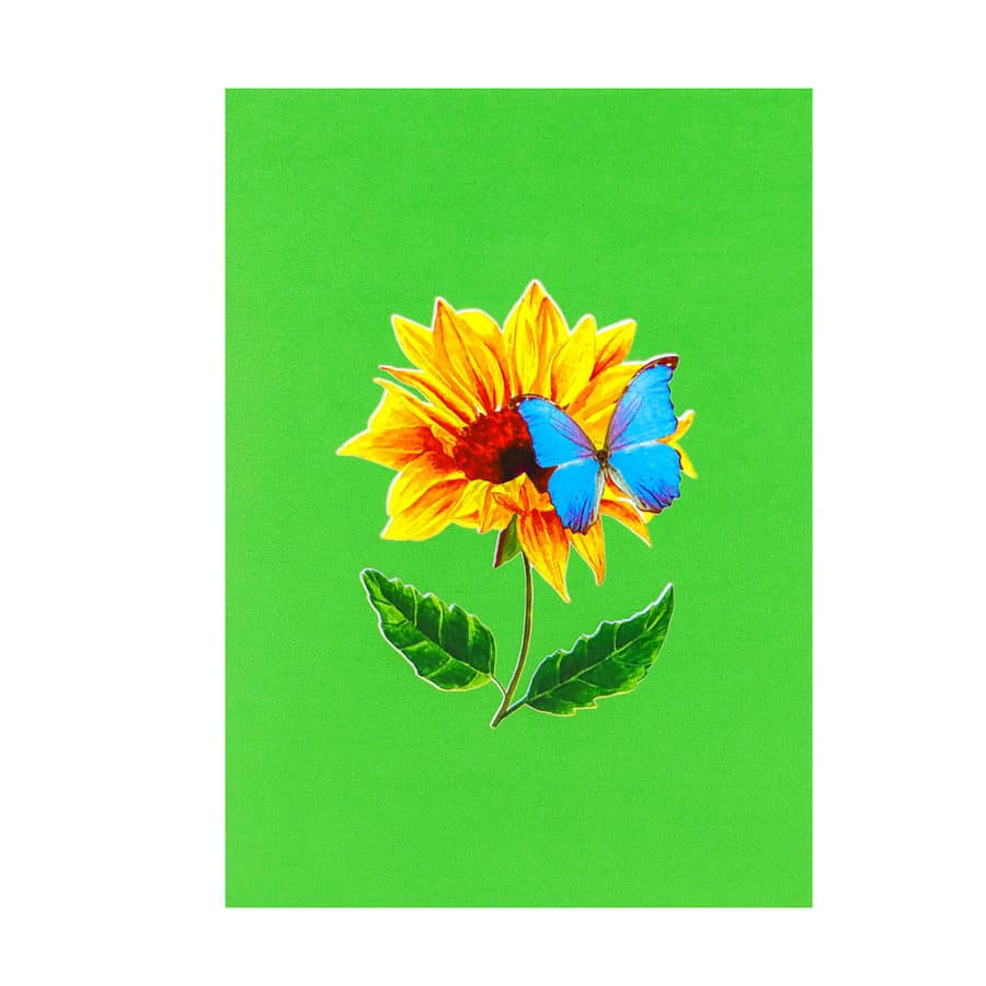 3D Pop Up Cards Manufacturer – Pop Up Cards Wholesale Supplier Vietnam