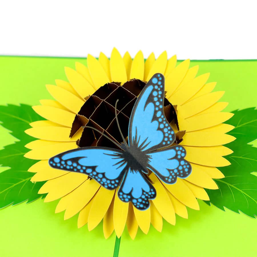 3D Pop Up Cards Manufacturer – Pop Up Cards Wholesale Supplier Vietnam