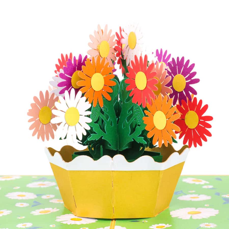 3D Pop Up Cards Manufacturer – Pop Up Cards Wholesale Supplier Vietnam