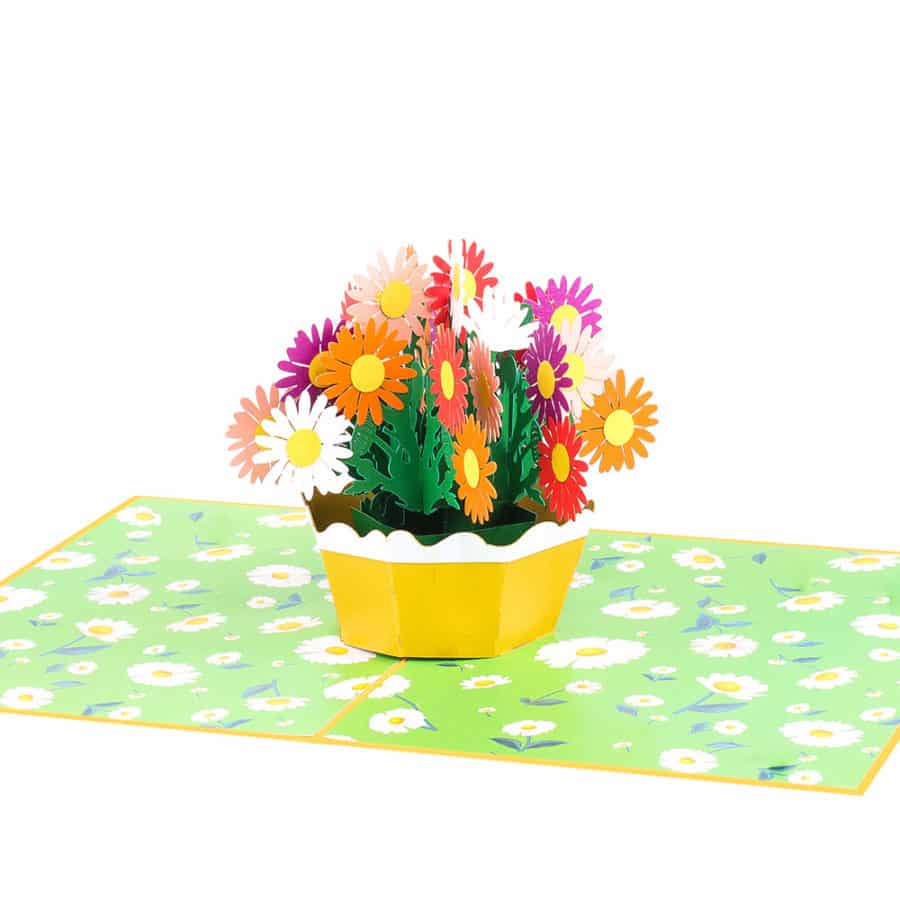 3D Pop Up Cards Manufacturer – Pop Up Cards Wholesale Supplier Vietnam