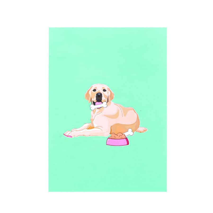 3D Pop Up Cards Manufacturer – Pop Up Cards Wholesale Supplier Vietnam