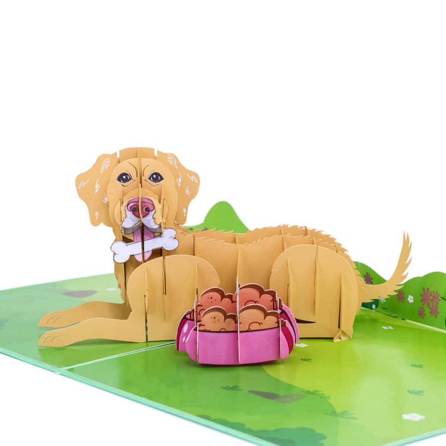 3D Pop Up Cards Manufacturer – Pop Up Cards Wholesale Supplier Vietnam