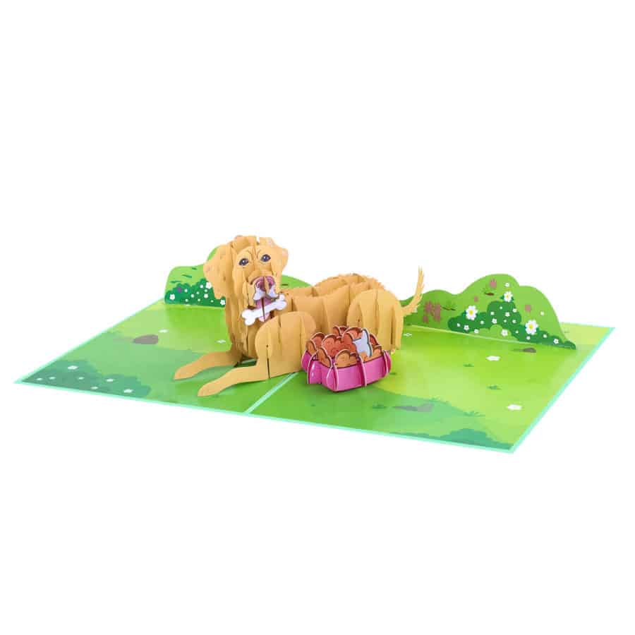 3D Pop Up Cards Manufacturer – Pop Up Cards Wholesale Supplier Vietnam