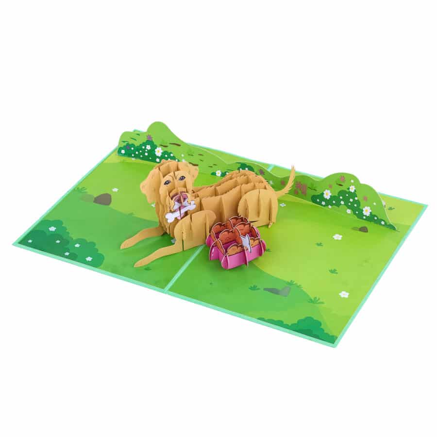 3D Pop Up Cards Manufacturer – Pop Up Cards Wholesale Supplier Vietnam