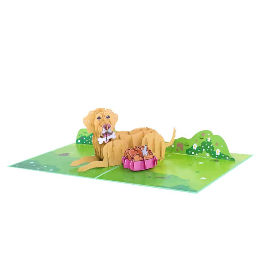 3D Pop Up Cards Manufacturer – Pop Up Cards Wholesale Supplier Vietnam