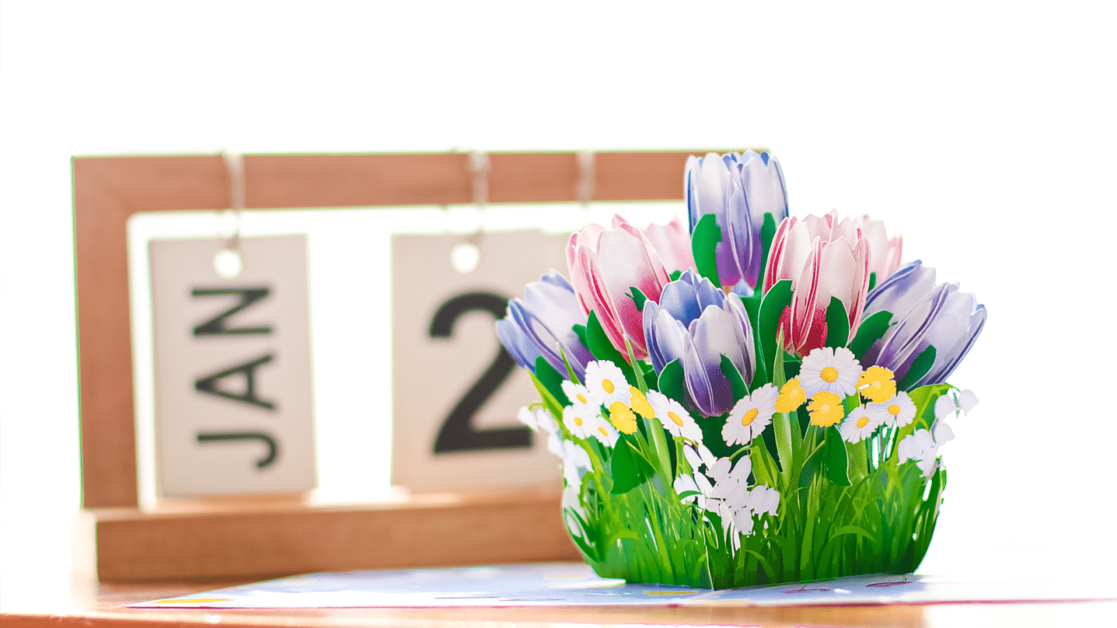 3D Pop Up Cards Manufacturer – Pop Up Cards Wholesale Supplier Vietnam