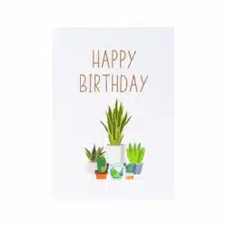 The Birthday Plant Pop Up Card has a glitter white cover with “Happy Birthday” message and plant illustration. Upon opening the card, you will find a colorful three-dimensional sculpture “Happy Birthday” that is surrounded by an array of succulents and other potted plants. With a special design and sweet sentiment, this is the perfect way to pass on your best wishes on your beloved one’s birthday. This is also a wonderful birthday gift for any green or plants lovers We always leave the card blank so that you can personalize your own words. Inspiration of Birthday Plants Pop-up card: We, as the young generation, currently are witnessing the worst change in the environment and climate. Therefore, we are more knowledgeable and quickly adopt a green lifestyle. Plants are more than the sum of their leaves, stems, fronds, and roots. What plants give us is priceless, peace and tranquility in our homes, a calming reminder to slow down, an appreciation for the little things. If you try to find the best present for the plant lover in your life, of course the easiest and the most obvious gift idea is to buy them a plant. However, to give some extra-touch, go for a Birthday Plants Pop-up Card. Our craftsmen have carefully designed the layers and layers of the pop-up to make the sculptures look so vibrant and bring great excitement to the receivers. Occasion for Birthday Plants Pop-up Card: Whether you’re shopping for a plant-parent or any green lover, the Birthday Plants Pop Up Card is a timeless winner. Give this handmade pop-up card to your loved ones and watch them get thrilled when opening the card.