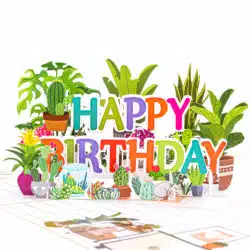 Happy-Birthday-Plants-Pop-Up-Card-detail-wholesale-manufacture-custom-design-custom-custom-pop-up-birthday-card-just-because-pop-up-card-summer-pop-up-card