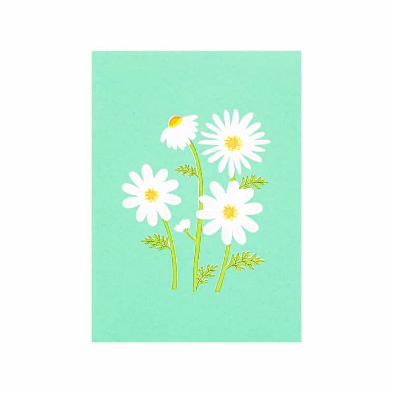 Daisy Pop Up Cards FL098 cover bulk pop up cards 3d greeting cards wholesale card design 3d card cústom thank you cards custom birthday cards custom pop up birthday cards custom mothers day card custom invitations pop up flower card mother's day pop up flower card mother's day card flowers pop up