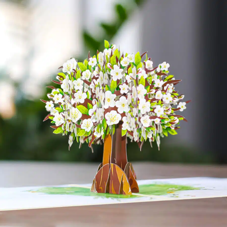 3d greeting cards white blossom pop-up card 3d pop up card 3d birthday card 3d pop up birthday cards 3d valentine cards 3d flower card 3d birthday cards handmade 3d flower pop up card pop up card suppliers pop up card manufacturer popup birthday cards unique handmade card lovepop card hallmark card
