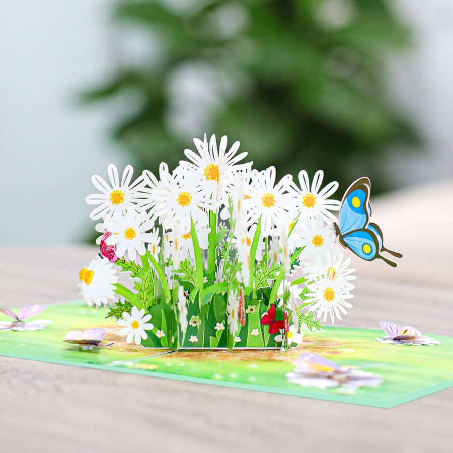 3D Pop Up Cards Manufacturer – Pop Up Cards Wholesale Supplier Vietnam