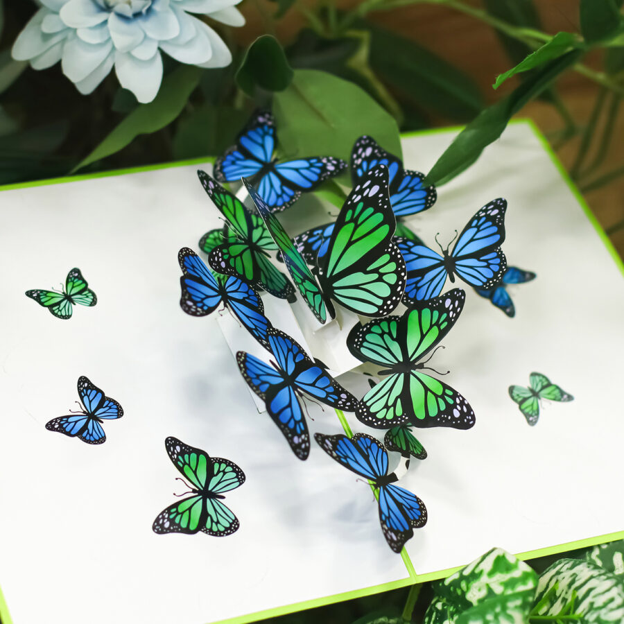 pop up butterfly card